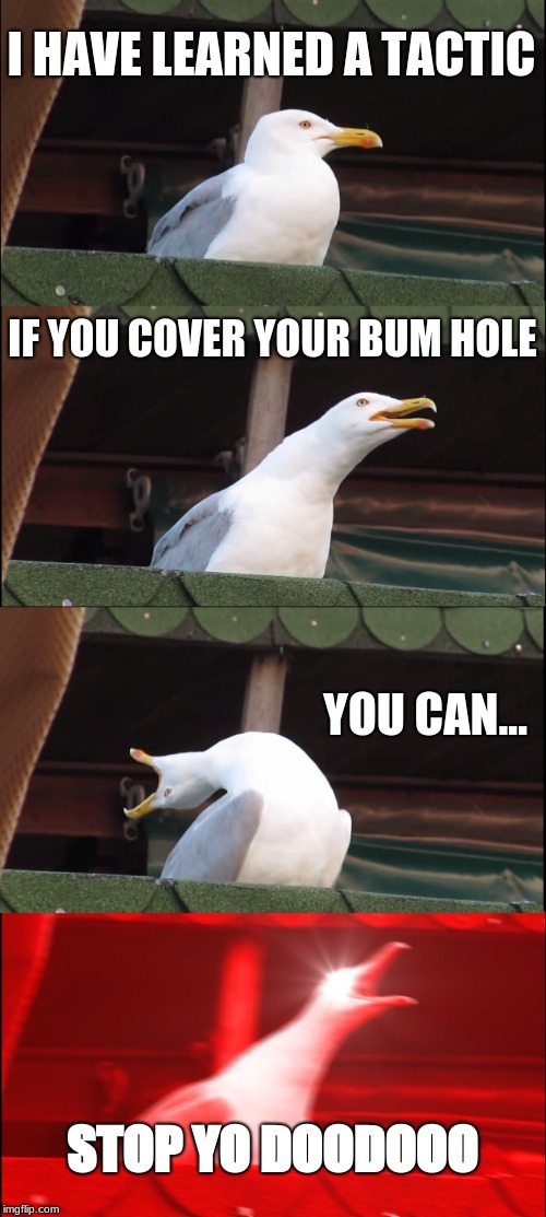 i dont know why... | I HAVE LEARNED A TACTIC; IF YOU COVER YOUR BUM HOLE; YOU CAN... STOP YO DOODOOO | image tagged in memes,inhaling seagull | made w/ Imgflip meme maker