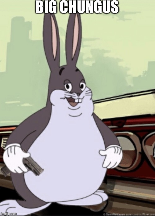 BIG CHUNGUS | image tagged in funny memes | made w/ Imgflip meme maker