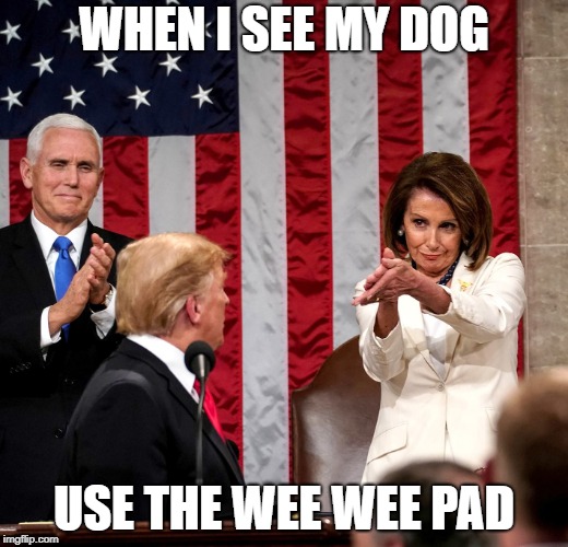SOTU 2019 | WHEN I SEE MY DOG; USE THE WEE WEE PAD | image tagged in sotu 2019 | made w/ Imgflip meme maker