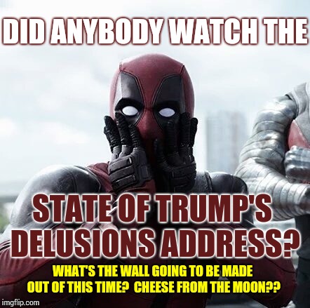 Hey Diddle Diddle The Cat And The Fiddle | DID ANYBODY WATCH THE; STATE OF TRUMP'S DELUSIONS ADDRESS? WHAT'S THE WALL GOING TO BE MADE OUT OF THIS TIME?  CHEESE FROM THE MOON?? | image tagged in memes,deadpool surprised,trump unfit unqualified dangerous,lock him up,trump traitor,liar in chief | made w/ Imgflip meme maker