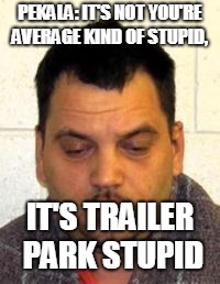 Trailer Park | PEKALA: IT'S NOT YOU'RE AVERAGE KIND OF STUPID, IT'S TRAILER PARK STUPID | image tagged in trailer park | made w/ Imgflip meme maker