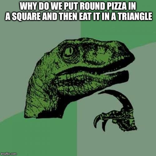 One of life’s many questions without an answer | WHY DO WE PUT ROUND PIZZA IN A SQUARE AND THEN EAT IT IN A TRIANGLE | image tagged in memes,philosoraptor,pizza | made w/ Imgflip meme maker