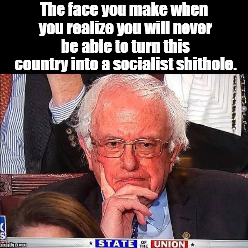 Bernie Sanders | The face you make when you realize you will never be able to turn this country into a socialist shithole. | image tagged in socialist | made w/ Imgflip meme maker