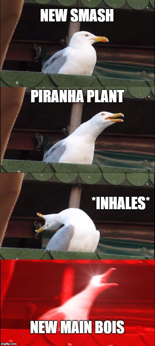 Inhaling Seagull | NEW SMASH; PIRANHA PLANT; *INHALES*; NEW MAIN BOIS | image tagged in memes,inhaling seagull | made w/ Imgflip meme maker