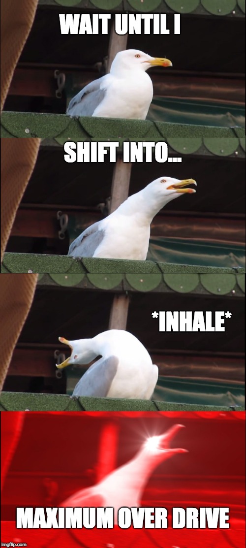 Inhaling Seagull | WAIT UNTIL I; SHIFT INTO... *INHALE*; MAXIMUM OVER DRIVE | image tagged in memes,inhaling seagull | made w/ Imgflip meme maker