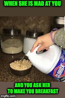 don't make her mad, you never know when you'll need her on your side.  | WHEN SHE IS MAD AT YOU; AND YOU ASK HER TO MAKE YOU BREAKFAST | image tagged in cereal,bleach,funny,angry | made w/ Imgflip meme maker