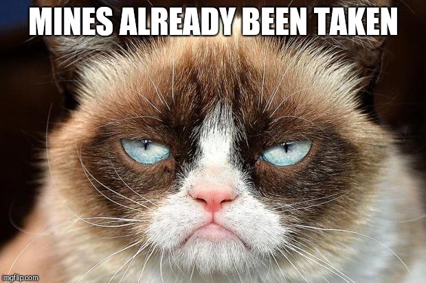 Grumpy Cat Not Amused Meme | MINES ALREADY BEEN TAKEN | image tagged in memes,grumpy cat not amused,grumpy cat | made w/ Imgflip meme maker