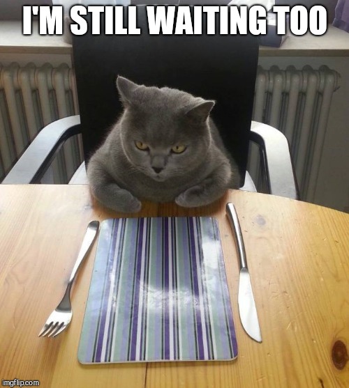 Hungry Cat | I'M STILL WAITING TOO | image tagged in hungry cat | made w/ Imgflip meme maker