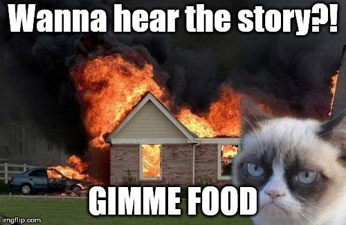 Burn Kitty Meme |  Wanna hear the story?! GIMME FOOD | image tagged in memes,burn kitty,grumpy cat | made w/ Imgflip meme maker