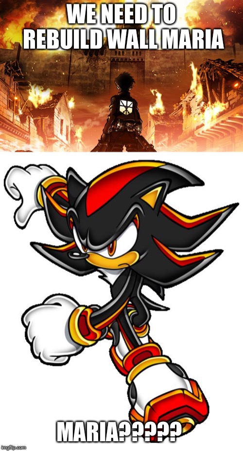 WE NEED TO REBUILD WALL MARIA; MARIA????? | image tagged in attack on titan,shadow the hedgehog | made w/ Imgflip meme maker
