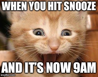 Excited Cat Meme | WHEN YOU HIT SNOOZE; AND IT’S NOW 9AM | image tagged in memes,excited cat | made w/ Imgflip meme maker