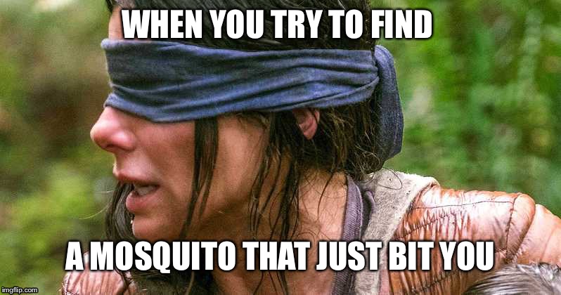 Bird box | WHEN YOU TRY TO FIND; A MOSQUITO THAT JUST BIT YOU | image tagged in bird box | made w/ Imgflip meme maker