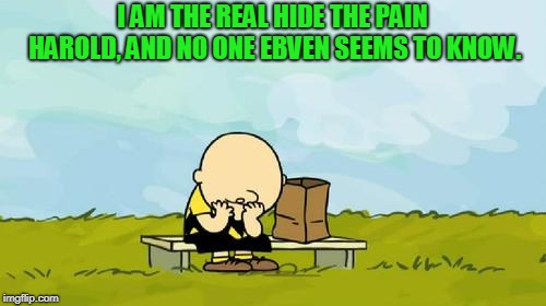 Depressed Charlie Brown | I AM THE REAL HIDE THE PAIN HAROLD, AND NO ONE EBVEN SEEMS TO KNOW. | image tagged in depressed charlie brown | made w/ Imgflip meme maker