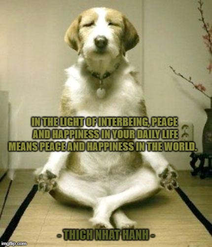 Inner Peace Dog | IN THE LIGHT OF INTERBEING, PEACE AND HAPPINESS IN YOUR DAILY LIFE MEANS PEACE AND HAPPINESS IN THE WORLD. - THICH NHAT HANH - | image tagged in inner peace dog | made w/ Imgflip meme maker