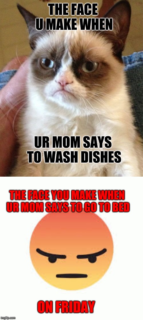 THE FACE U MAKE WHEN; UR MOM SAYS TO WASH DISHES; THE FACE YOU MAKE WHEN UR MOM SAYS TO GO TO BED; ON FRIDAY | image tagged in memes,grumpy cat | made w/ Imgflip meme maker