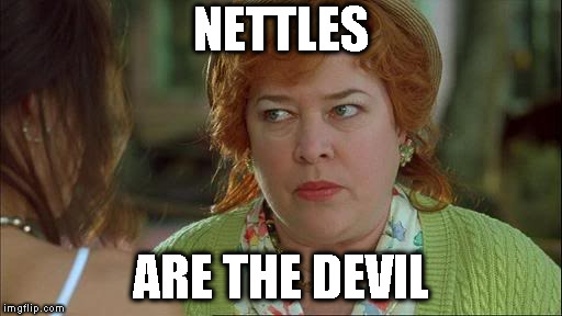 Waterboy Kathy Bates Devil | NETTLES; ARE THE DEVIL | image tagged in waterboy kathy bates devil | made w/ Imgflip meme maker