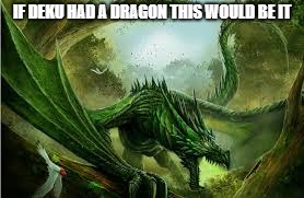 Deku's Dragon | IF DEKU HAD A DRAGON THIS WOULD BE IT | image tagged in deku,dragon | made w/ Imgflip meme maker