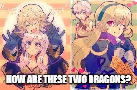 Video Game Dragon Logic | HOW ARE THESE TWO DRAGONS? | image tagged in fire emblem,dragons | made w/ Imgflip meme maker