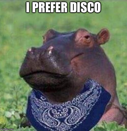 What a hippocrip | I PREFER DISCO | image tagged in what a hippocrip | made w/ Imgflip meme maker