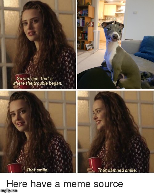 image tagged in that damn smile | made w/ Imgflip meme maker