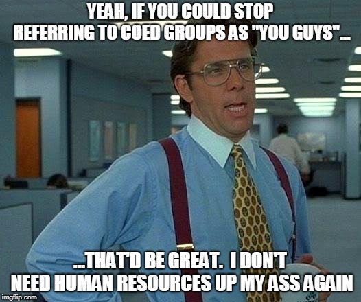 That Would Be Great | YEAH, IF YOU COULD STOP REFERRING TO COED GROUPS AS "YOU GUYS"... ...THAT'D BE GREAT.  I DON'T NEED HUMAN RESOURCES UP MY ASS AGAIN | image tagged in memes,that would be great | made w/ Imgflip meme maker