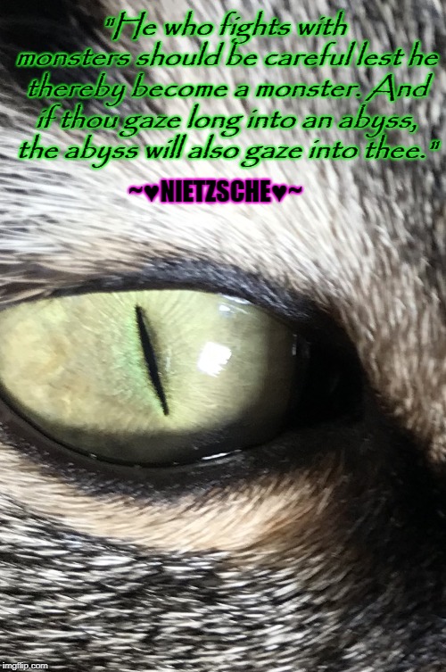 "He who fights with monsters should be careful lest he thereby become a monster.
And if thou gaze long into an abyss, the abyss will also gaze into thee."; ~♥NIETZSCHE♥~ | image tagged in meye meye | made w/ Imgflip meme maker