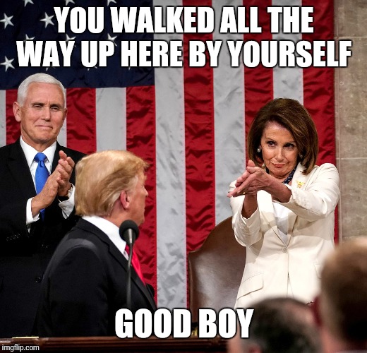SOTU 2019 | YOU WALKED ALL THE WAY UP HERE BY YOURSELF; GOOD BOY | image tagged in sotu 2019 | made w/ Imgflip meme maker