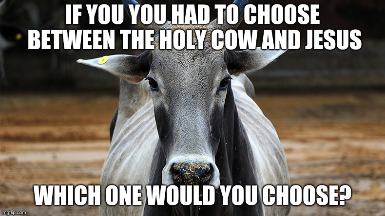 IF YOU YOU HAD TO CHOOSE BETWEEN THE HOLY COW AND JESUS; WHICH ONE WOULD YOU CHOOSE? | made w/ Imgflip meme maker