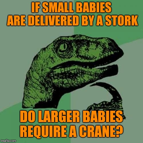 Philosoraptor | IF SMALL BABIES ARE DELIVERED BY A STORK; DO LARGER BABIES REQUIRE A CRANE? | image tagged in memes,philosoraptor,jbmemegeek,stork,bad puns | made w/ Imgflip meme maker