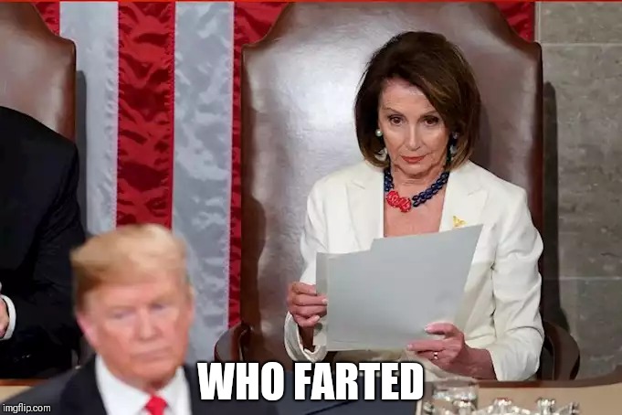 WHO FARTED | image tagged in funny memes | made w/ Imgflip meme maker
