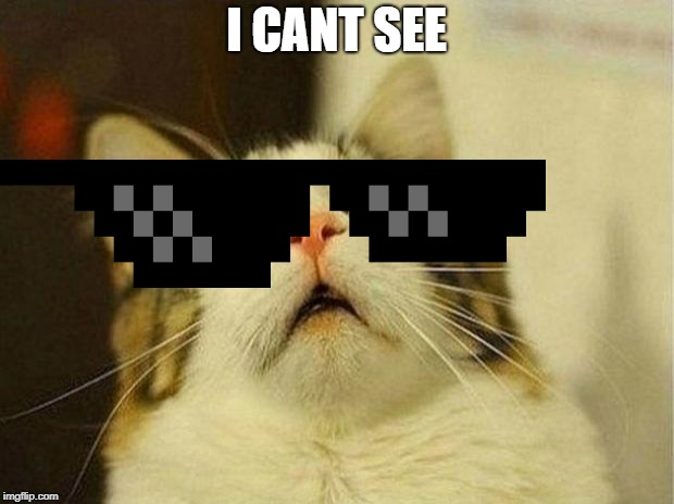 Scared Cat Meme | I CANT SEE | image tagged in memes,scared cat | made w/ Imgflip meme maker