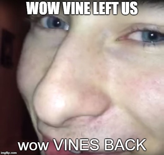 wow vine | WOW VINE LEFT US; wow VINES BACK | image tagged in wow vine | made w/ Imgflip meme maker