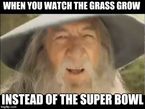 Happy Gandalf | WHEN YOU WATCH THE GRASS GROW; INSTEAD OF THE SUPER BOWL | image tagged in gandalf | made w/ Imgflip meme maker