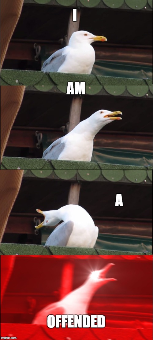 Inhaling Seagull Meme | I AM A OFFENDED | image tagged in memes,inhaling seagull | made w/ Imgflip meme maker