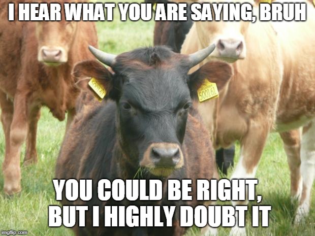 Passive-Aggressive Bull | I HEAR WHAT YOU ARE SAYING, BRUH; YOU COULD BE RIGHT, BUT I HIGHLY DOUBT IT | image tagged in passive-aggressive bull | made w/ Imgflip meme maker