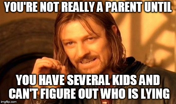 One Does Not Simply Meme | YOU'RE NOT REALLY A PARENT UNTIL YOU HAVE SEVERAL KIDS AND CAN'T FIGURE OUT WHO IS LYING | image tagged in memes,one does not simply | made w/ Imgflip meme maker