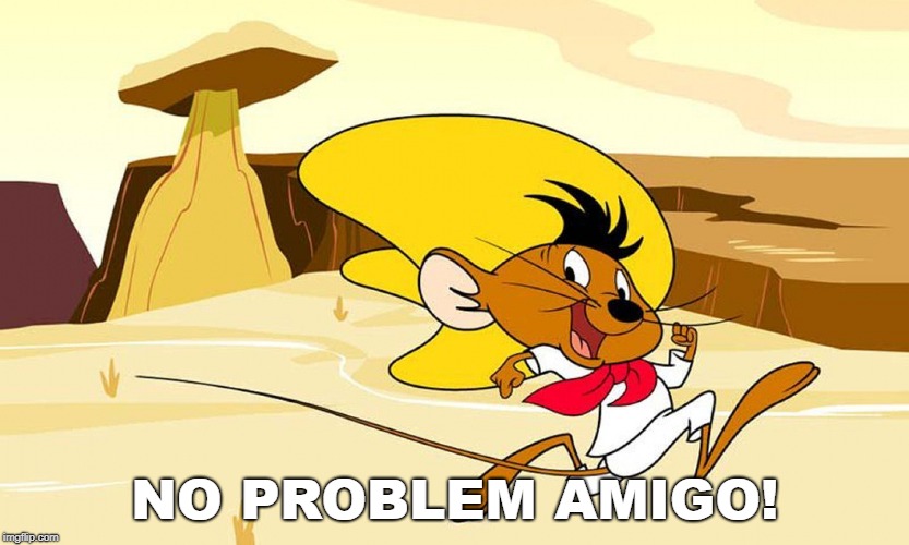NO PROBLEM AMIGO! | image tagged in speedy | made w/ Imgflip meme maker