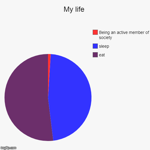 My life | eat, sleep, Being an active member of society | image tagged in funny,pie charts | made w/ Imgflip chart maker