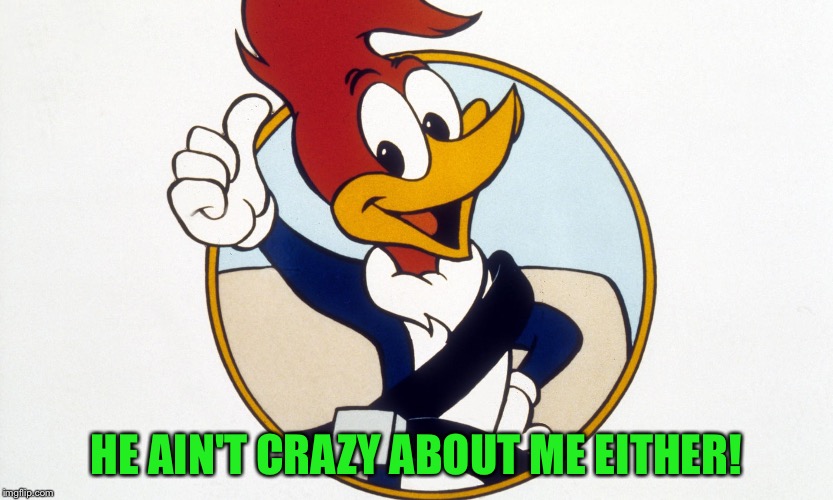 Woody Woodpecker | HE AIN'T CRAZY ABOUT ME EITHER! | image tagged in woody woodpecker | made w/ Imgflip meme maker