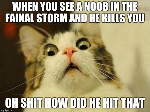 Scared Cat Meme | WHEN YOU SEE A NOOB IN THE FAINAL STORM AND HE KILLS YOU; OH SHIT HOW DID HE HIT THAT | image tagged in memes,scared cat | made w/ Imgflip meme maker