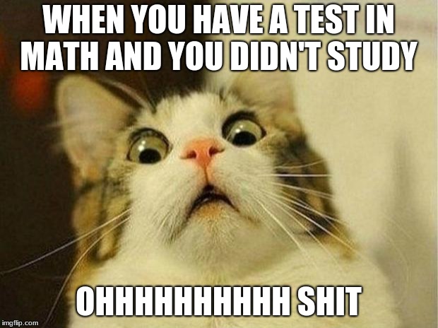 Scared Cat Meme | WHEN YOU HAVE A TEST IN MATH AND YOU DIDN'T STUDY; OHHHHHHHHHH SHIT | image tagged in memes,scared cat | made w/ Imgflip meme maker