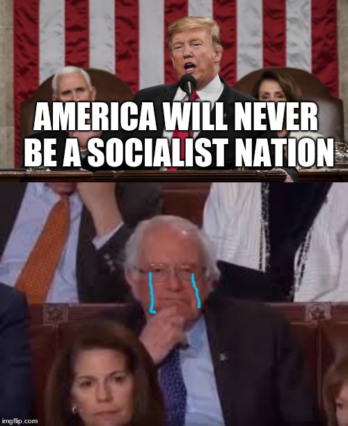 AMERICA WILL NEVER BE A SOCIALIST NATION | image tagged in funny memes,donald trump,bernie sanders | made w/ Imgflip meme maker