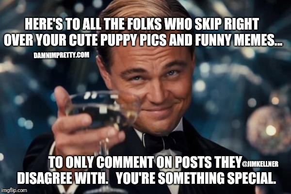 Leonardo Dicaprio Cheers Meme | HERE'S TO ALL THE FOLKS WHO SKIP RIGHT OVER YOUR CUTE PUPPY PICS AND FUNNY MEMES... DAMNIMPRETTY.COM; @JIMKELLNER; TO ONLY COMMENT ON POSTS THEY DISAGREE WITH. 

YOU'RE SOMETHING SPECIAL. | image tagged in memes,leonardo dicaprio cheers | made w/ Imgflip meme maker