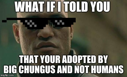 Matrix Morpheus | WHAT IF I TOLD YOU; THAT YOUR ADOPTED BY BIG CHUNGUS AND NOT HUMANS | image tagged in memes,matrix morpheus | made w/ Imgflip meme maker
