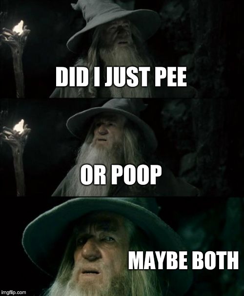 Confused Gandalf | DID I JUST PEE; OR POOP; MAYBE BOTH | image tagged in memes,confused gandalf | made w/ Imgflip meme maker