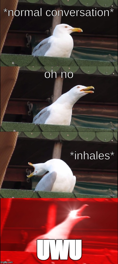 Furry | *normal conversation*; oh no; *inhales*; UWU | image tagged in memes,inhaling seagull,furries | made w/ Imgflip meme maker
