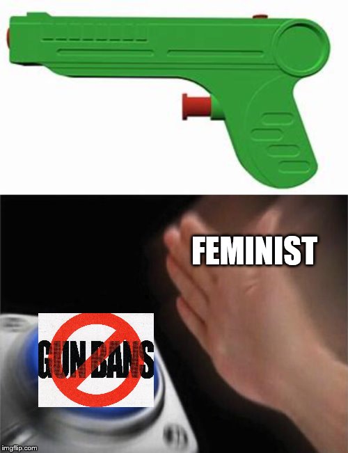 FEMINIST | image tagged in memes,blank nut button | made w/ Imgflip meme maker