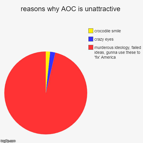 reasons why AOC is unattractive | murderous ideology, failed ideas, gunna use these to 'fix' America, crazy eyes, crocodile smile | image tagged in funny,pie charts | made w/ Imgflip chart maker