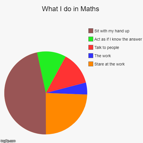 What I do in Maths | Stare at the work, The work, Talk to people, Act as if I know the answer, Sit with my hand up | image tagged in funny,pie charts | made w/ Imgflip chart maker