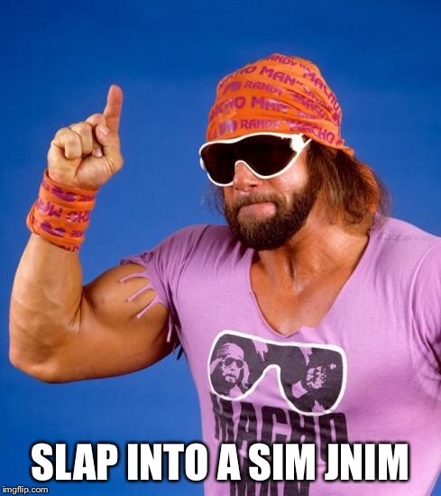 Macho Man | SLAP INTO A SIM JNIM | image tagged in macho man | made w/ Imgflip meme maker